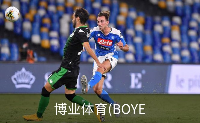 博业体育(BOYE概况